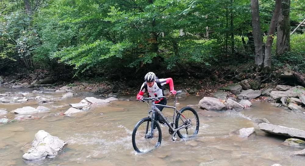 Najlepsze trasy rowerowe w Podkarpaciu - odkryj ukryte skarby regionu