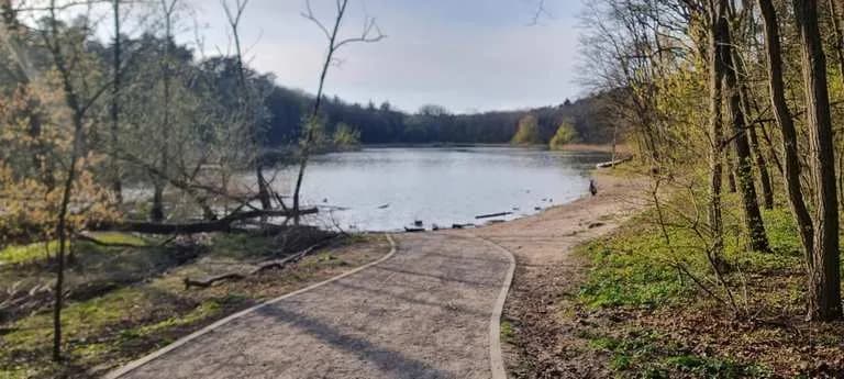 Trasy rowerowe w Szczecinie: odkryj najlepsze szlaki i widoki