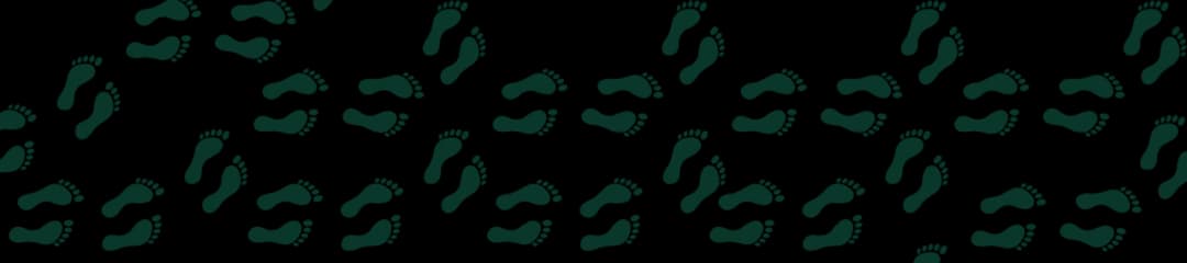 Jak obliczyć kalorie spalane podczas 10 km spaceru - kalkulator