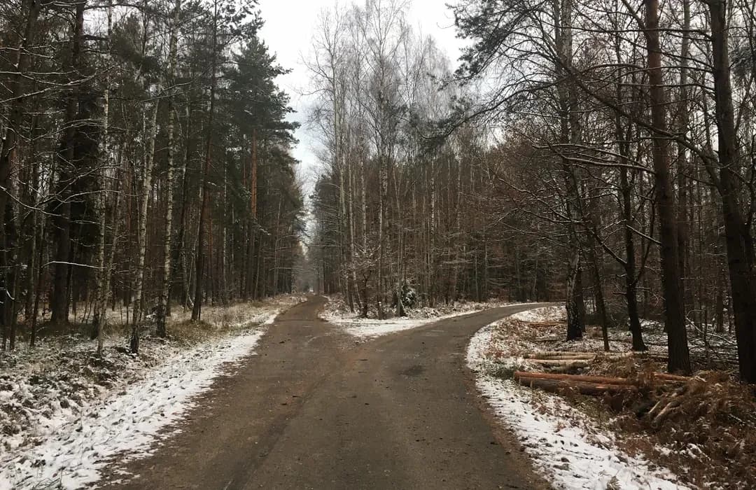 Puszcza Dulowska trasy rowerowe - odkryj najlepsze szlaki i atrakcje