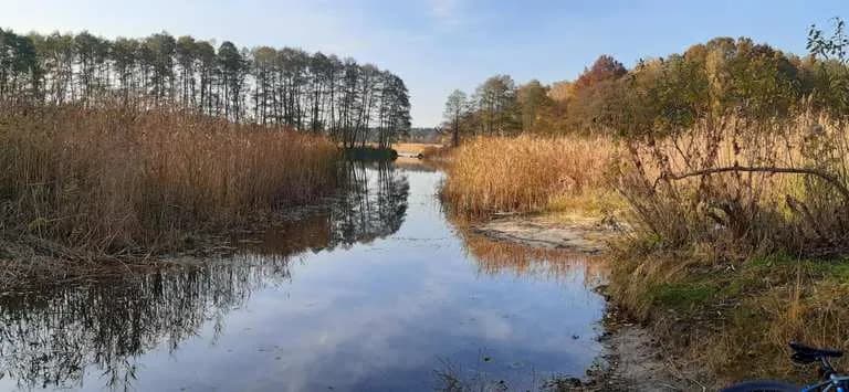 Najlepsze trasy rowerowe w Bydgoszczy - odkryj ukryte perełki